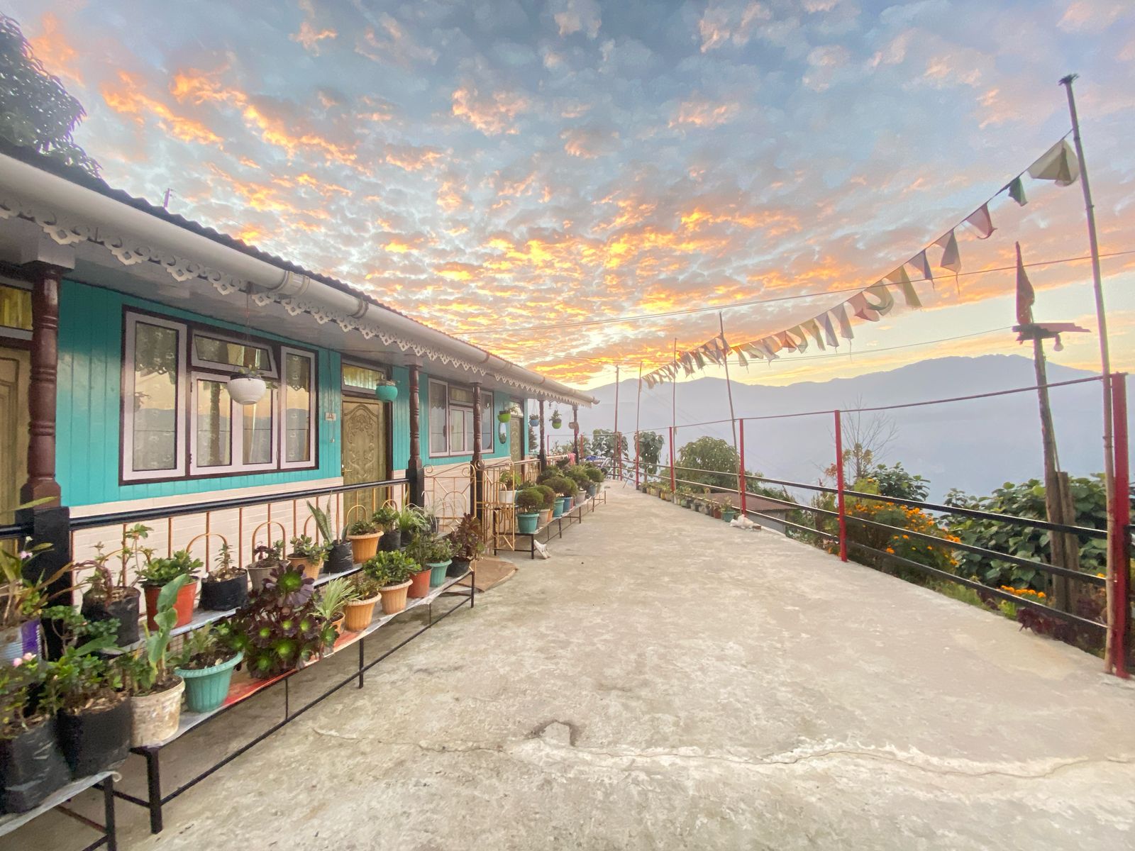Cozy Homestay