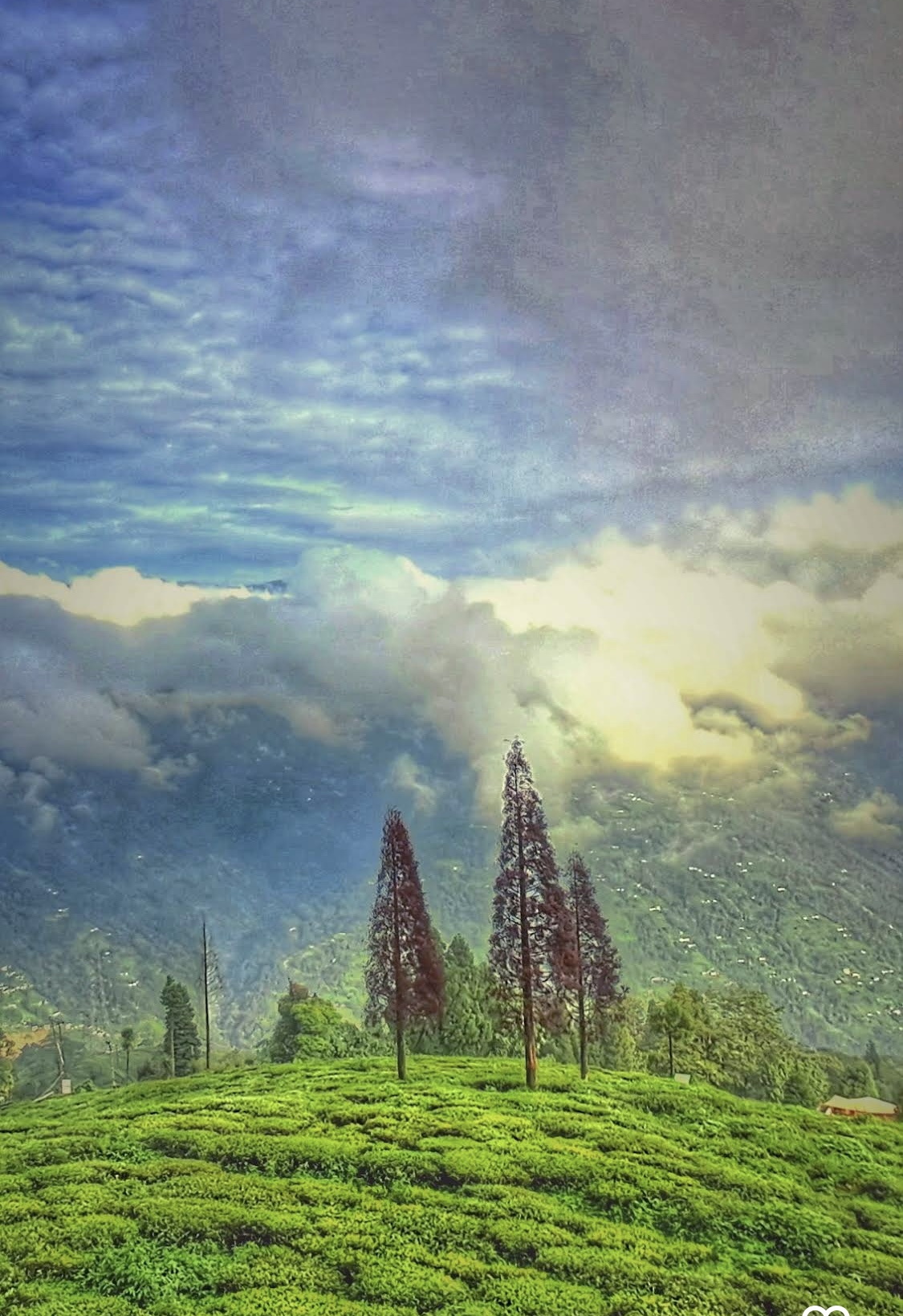 Balcony View, Darjeeling