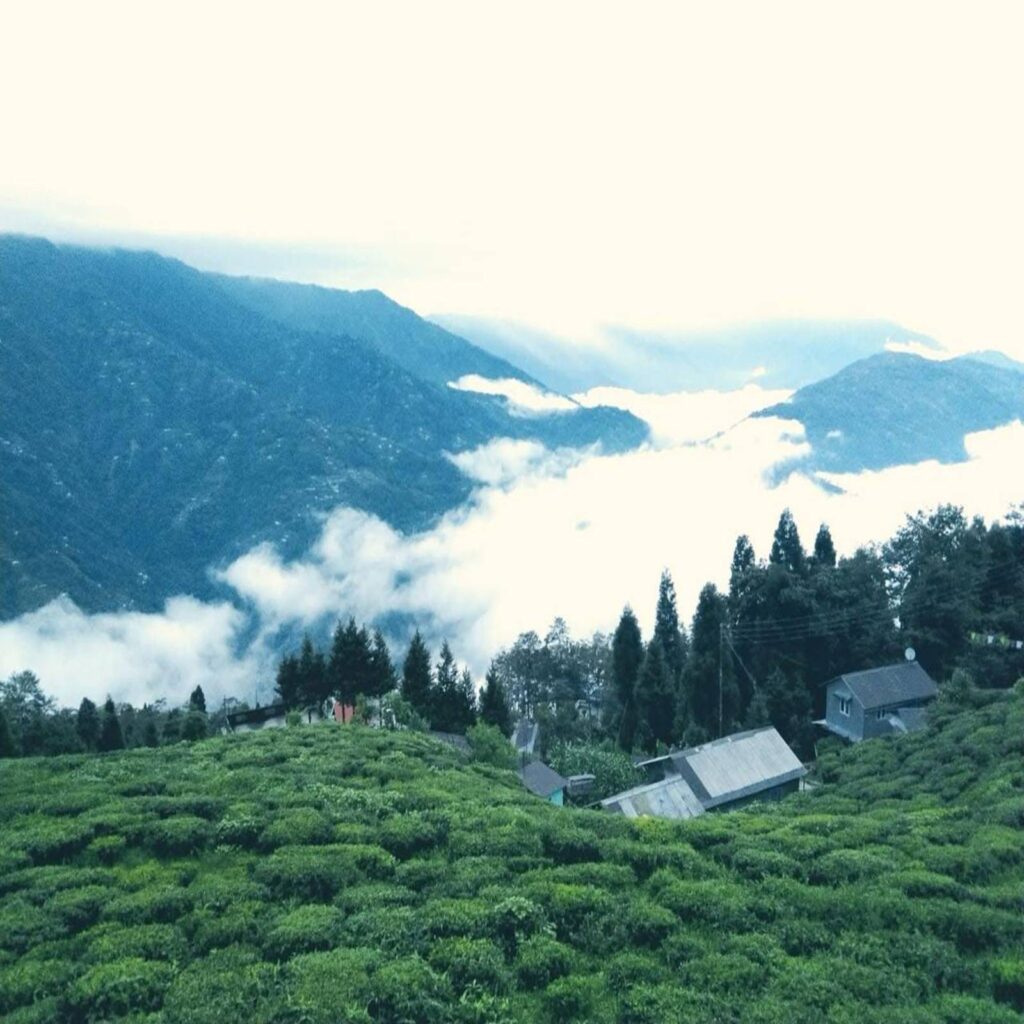 Kanchenjunga view Homestay Darjeeling