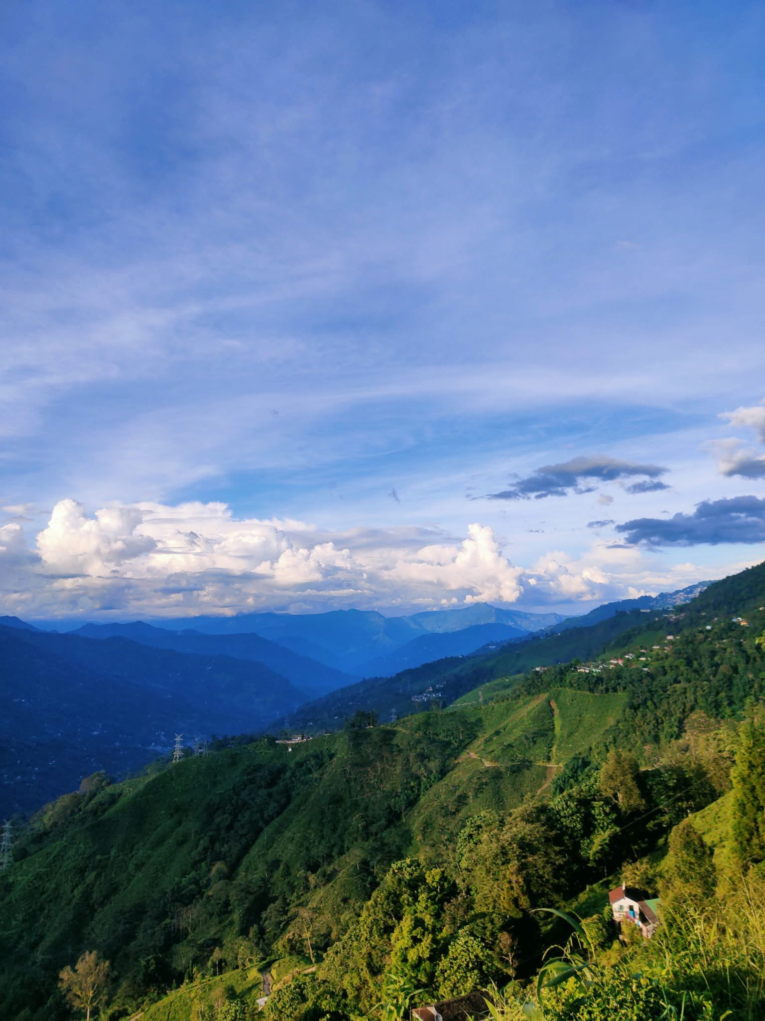kanchenjunga view homestay (40)