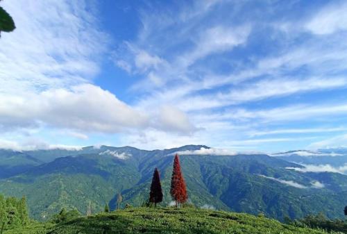 Kanchanjunga View Homestay Darjeeling (25)