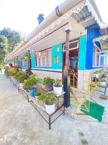 Kanchanjunga-View-Homestay-Darjeeling-12